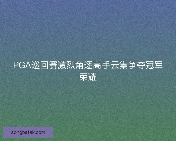 PGA巡回赛激烈角逐高手云集争夺冠军荣耀